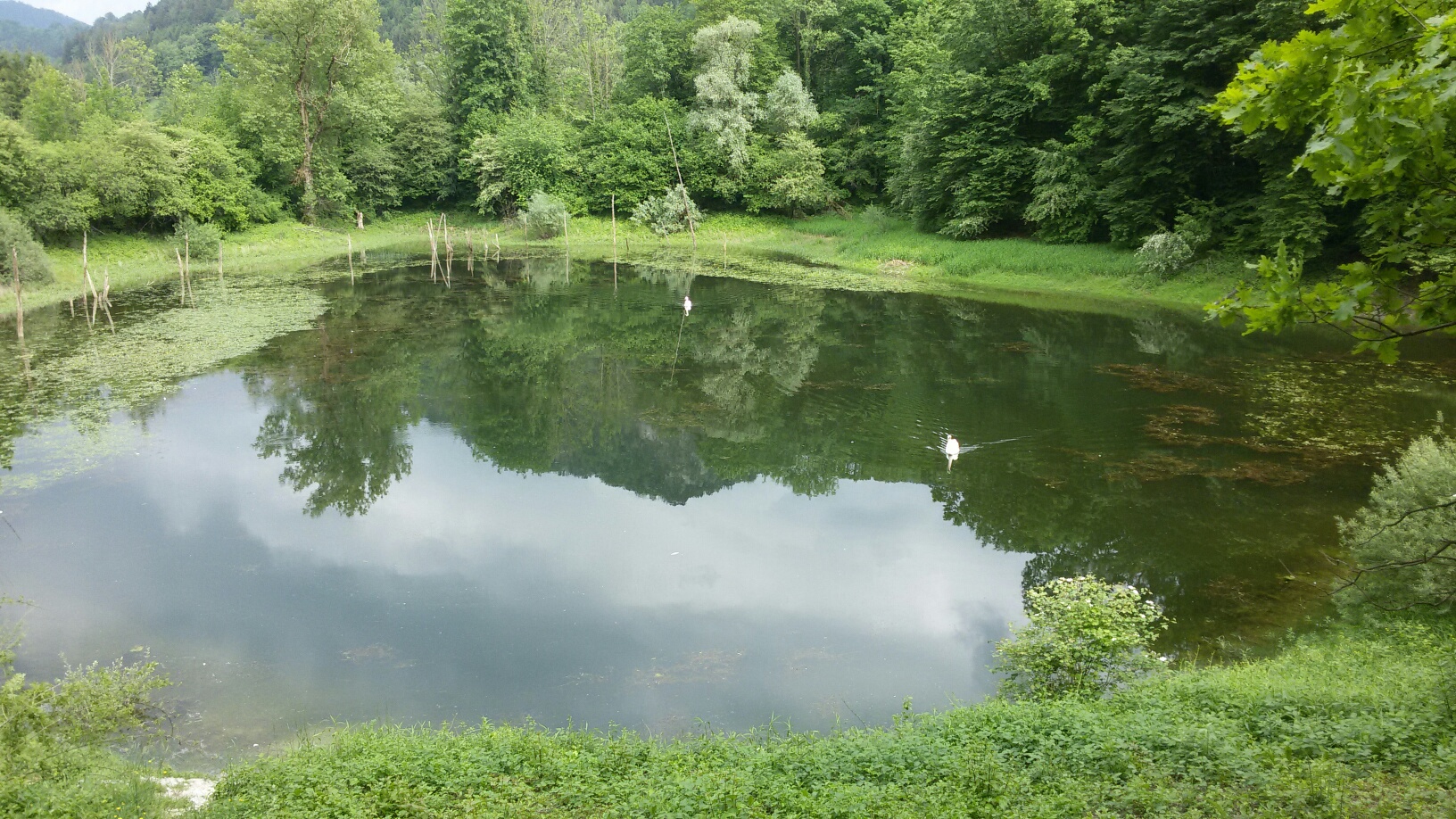 20150525 161728 resized