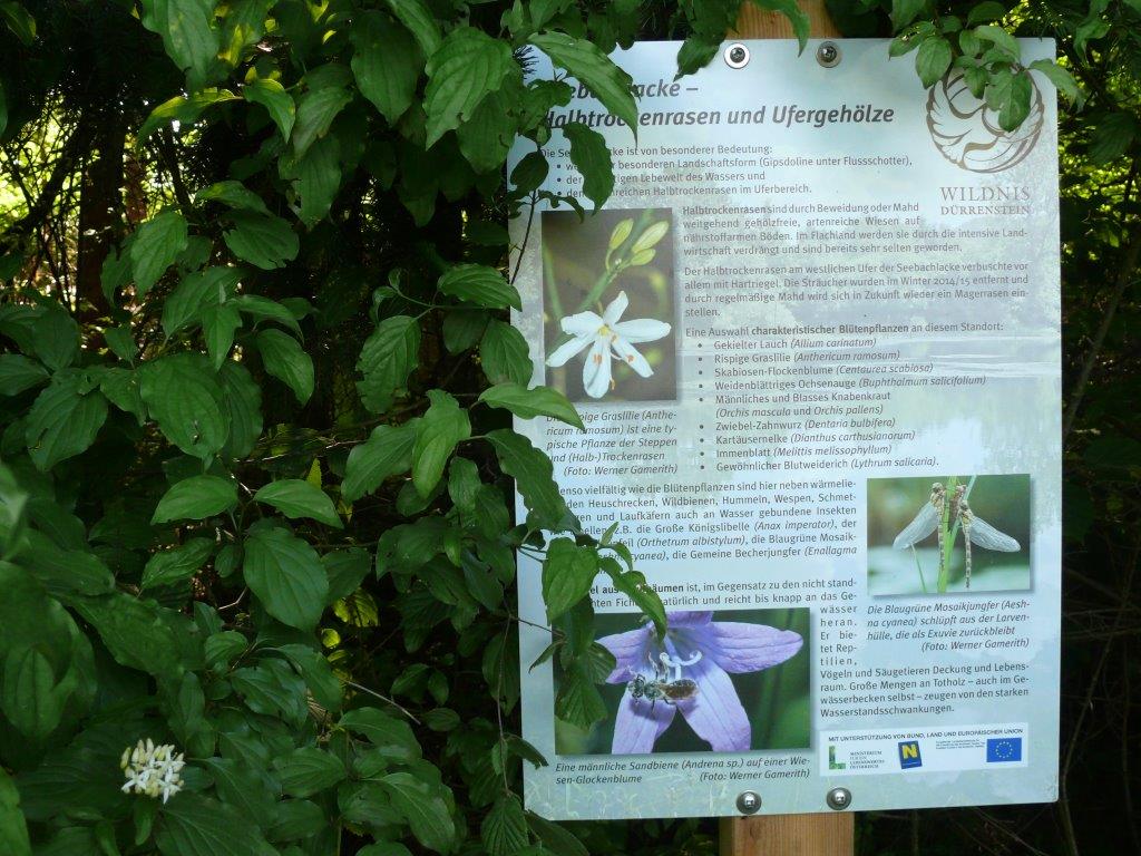 P1120001