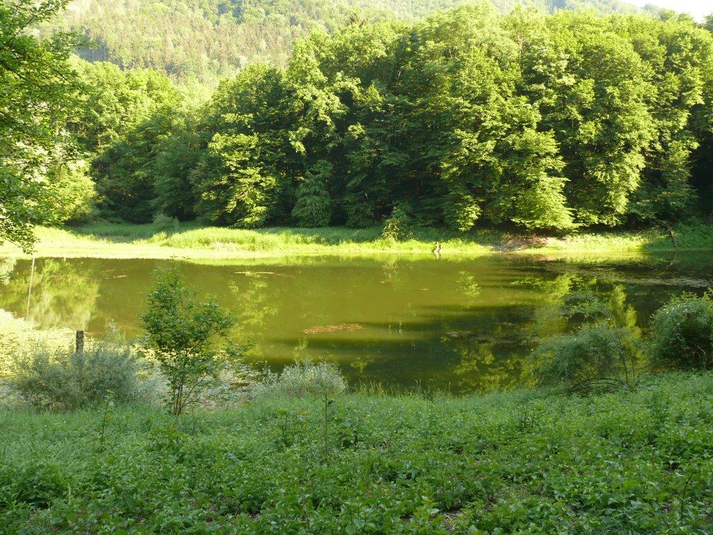 P1120003