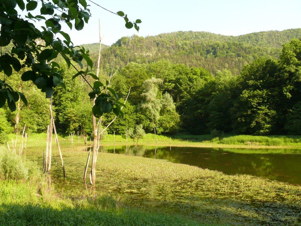 P1120006