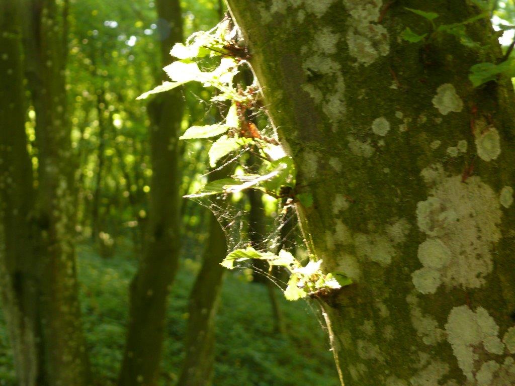 P1120032