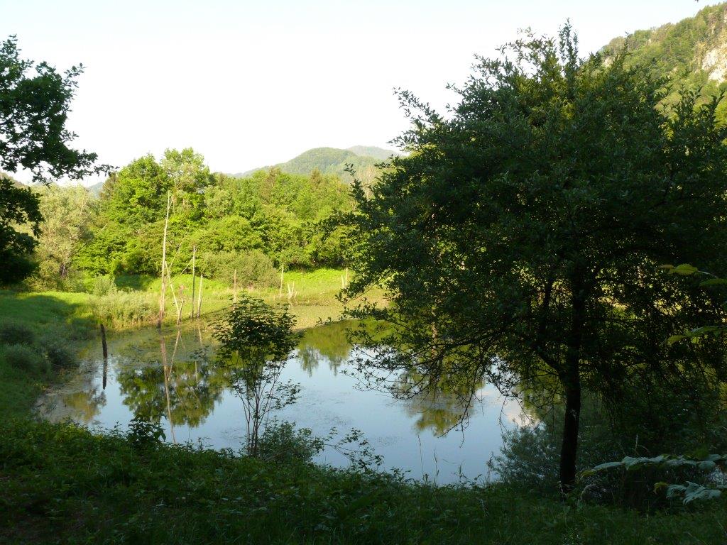 P1120033